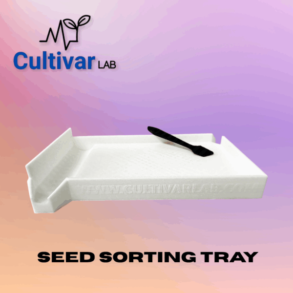 Seed Sorting Tray - Image 2