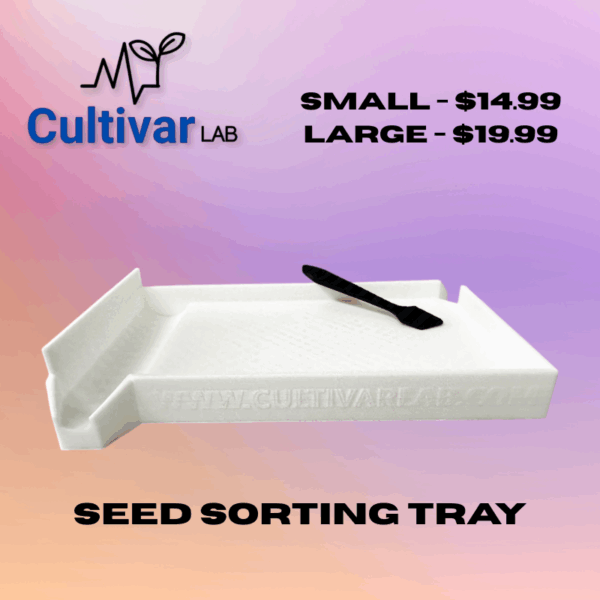 Seed Sorting Tray - Image 5